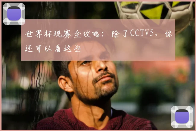 世界杯观赛全攻略:除了CCTV5,你还可以看这些