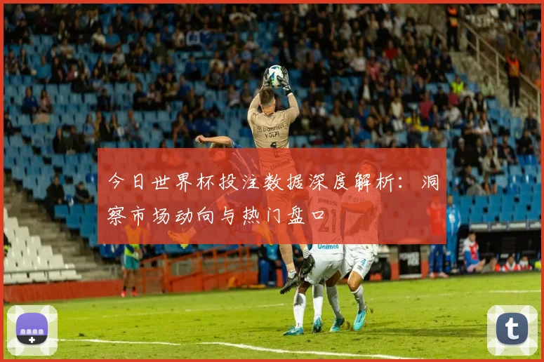 今日世界杯投注数据深度解析：洞察市场动向与热门盘口