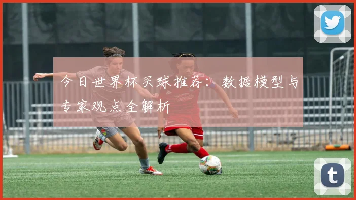 今日世界杯买球推荐：数据模型与专家观点全解析